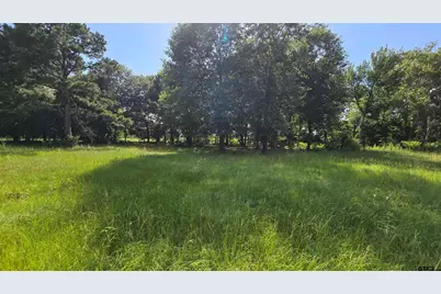 22695 County Road 223, Arp, TX 75750 - Photo 5