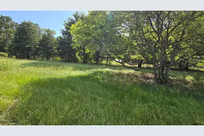 22695 County Road 223, Arp, TX 75750 - Photo 7