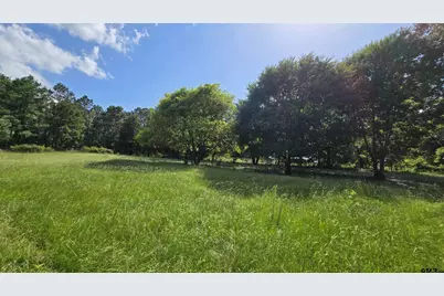 22695 County Road 223, Arp, TX 75750 - Photo 17