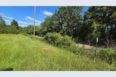 22695 County Road 223, Arp, TX 75750 - Photo 9