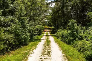 783 An County Rd 165, Elkhart, TX 75839 - Photo 47