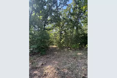 1301 An County Road 3552, Palestine, TX 75803 - Photo 5