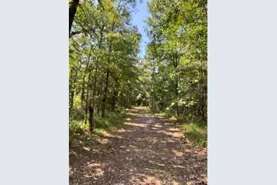 1301 An County Road 3552, Palestine, TX 75803 - Photo 15