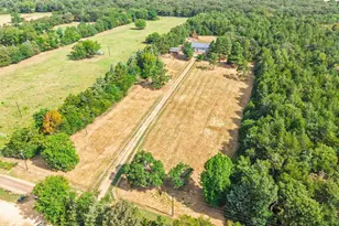 2631 Co Rd 2400, Pickton, TX 75471 - Photo 33