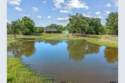 299 Vz County Road 1716, Grand Saline, TX 75140 - Photo 39
