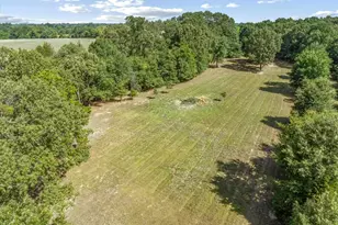 299 Vz County Road 1716, Grand Saline, TX 75140 - Photo 41