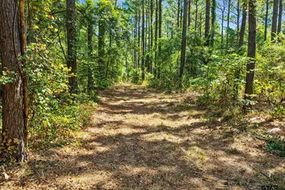 Lot 1 County Road 1240, Pittsburg, TX 75686 - Photo 21