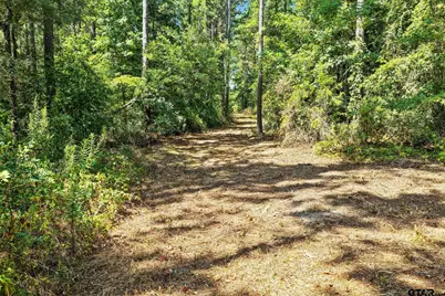 Lot 1 County Road 1240, Pittsburg, TX 75686 - Photo 19