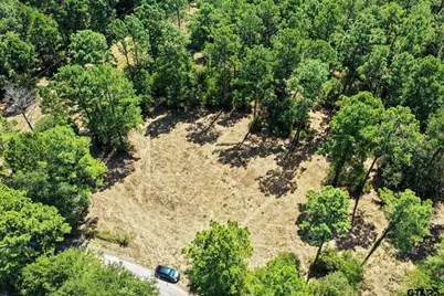 Lot 1 County Road 1240, Pittsburg, TX 75686 - Photo 7