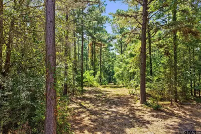 Lot 1 County Road 1240, Pittsburg, TX 75686 - Photo 13