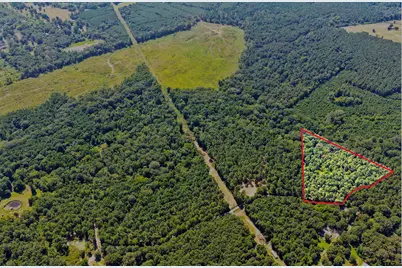 Lot 1 County Road 1240, Pittsburg, TX 75686 - Photo 1