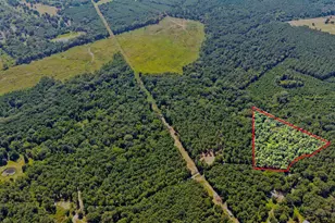 Lot 1 County Road 1240, Pittsburg, TX 75686 - Photo 1