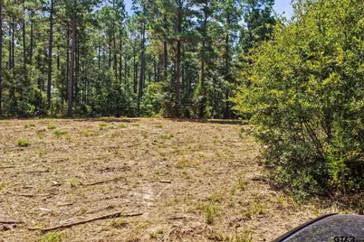 Lot 1 County Road 1240, Pittsburg, TX 75686 - Photo 23