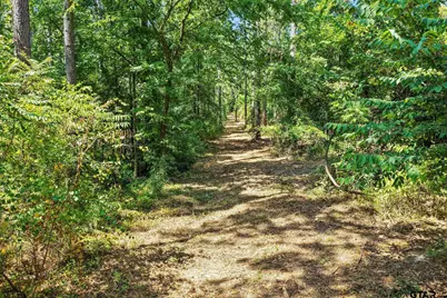 Lot 2 County Road 1240, Pittsburg, TX 75686 - Photo 25