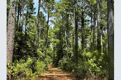 Lot 2 County Road 1240, Pittsburg, TX 75686 - Photo 17