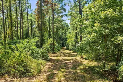 Lot 2 County Road 1240, Pittsburg, TX 75686 - Photo 23
