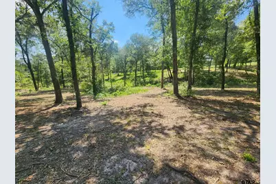 7485 Cr 3913, Athens, TX 75752 - Photo 17
