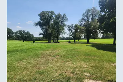 7485 Cr 3913, Athens, TX 75752 - Photo 3