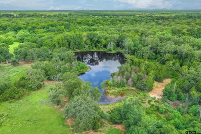 80 +/- Acres Private Road 5317, Grand Saline, TX 75140 - Photo 5