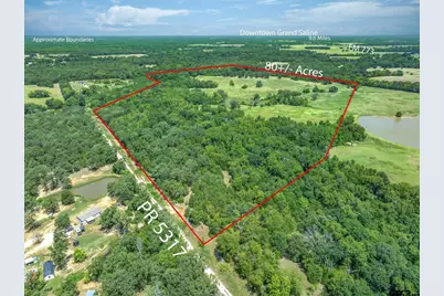 80 +/- Acres Private Road 5317, Grand Saline, TX 75140 - Photo 23