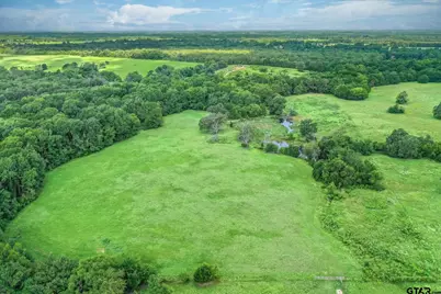 80 +/- Acres Private Road 5317, Grand Saline, TX 75140 - Photo 21