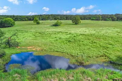 80 +/- Acres Private Road 5317, Grand Saline, TX 75140 - Photo 13