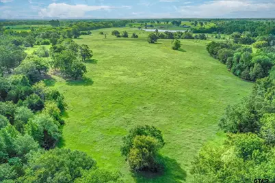 80 +/- Acres Private Road 5317, Grand Saline, TX 75140 - Photo 7