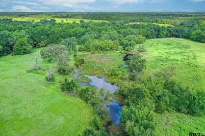 80 +/- Acres Private Road 5317, Grand Saline, TX 75140 - Photo 19