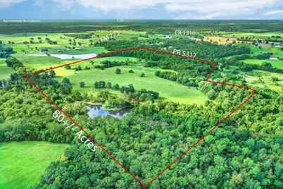 80 +/- Acres Private Road 5317, Grand Saline, TX 75140 - Photo 25