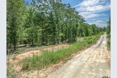 80 +/- Acres Private Road 5317, Grand Saline, TX 75140 - Photo 27