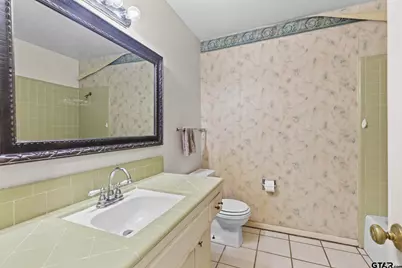 477 County Road 2425, Mineola, TX 75773 - Photo 17