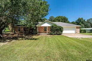 19393 County Rd 2176, Whitehouse, TX 75791 - Photo 1