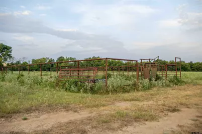 Tbd Cr 3356, Saltillo, TX 75478 - Photo 5