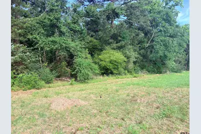 Tbd 7.17 Acres Fm 856, Troup, TX 75789 - Photo 5