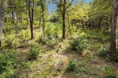 0 Garner St, Frankston, TX 75763 - Photo 3