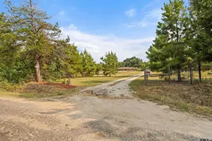 378 Eagle Rd, Gilmer, TX 75645 - Photo 41