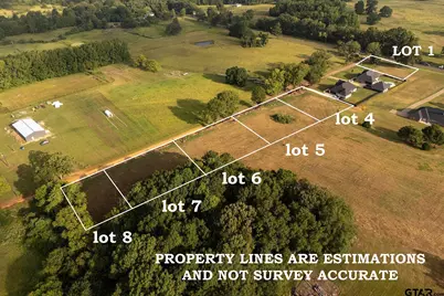281 County Road 3421 (Lot 8), Bullard, TX 75757 - Photo 3