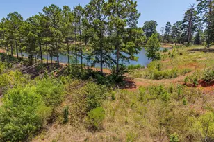 4437 FM 1801, Mineola, TX 75773 - Photo 13