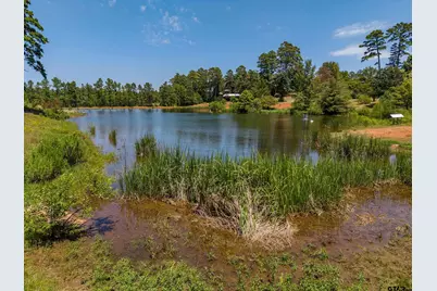 4437 Fm 1801, Mineola, TX 75773 - Photo 5