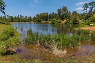 4437 FM 1801, Mineola, TX 75773 - Photo 5