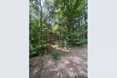 515 Caroline Lane, Bullard, TX 75757 - Photo 3