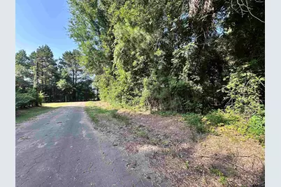 Tbd County Road 2177, Quitman, TX 75783 - Photo 3