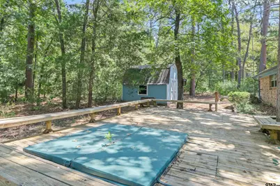 190 Blue Water Lane, Holly Lake Ranch, TX 75765 - Photo 37