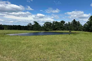 434 Co Rd 3433, Jacksonville, TX 75766 - Photo 7
