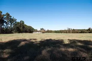 434 Co Rd 3433, Jacksonville, TX 75766 - Photo 29