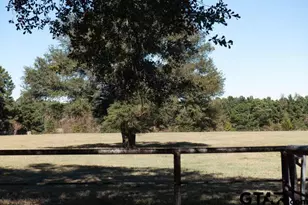434 Co Rd 3433, Jacksonville, TX 75766 - Photo 27