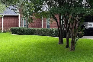 331 Cr 2258, Mineola, TX 75773 - Photo 9