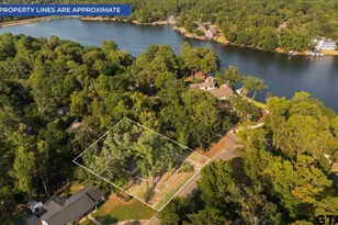 1603 Pineview Ln, Hideaway, TX 75771 - Photo 41