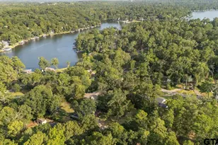 1603 Pineview Ln, Hideaway, TX 75771 - Photo 43