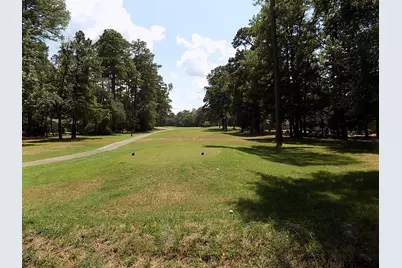 Bent Horseshoe, Holly Lake Ranch, TX 75765 - Photo 3